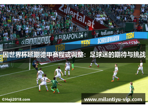 因世界杯延期德甲赛程或调整：足球迷的期待与挑战