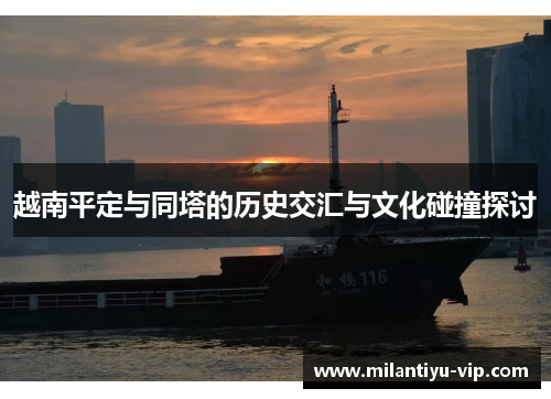 越南平定与同塔的历史交汇与文化碰撞探讨
